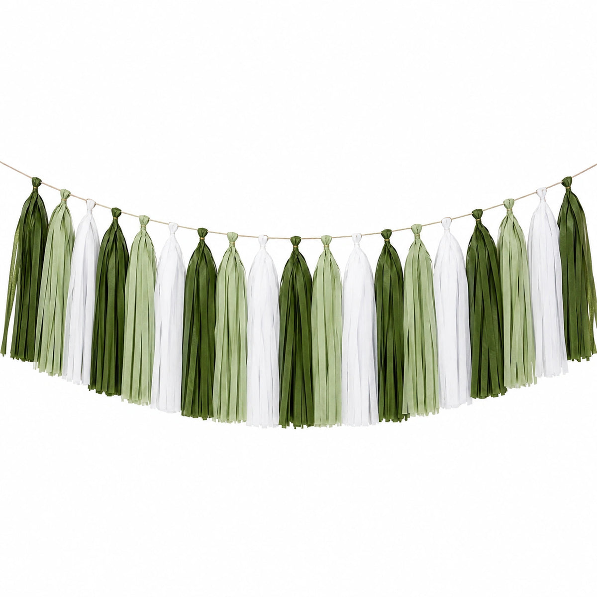 Ghirlanda di nappe 300 x 35 cm in carta velina verde e bianco per decorazioni feste stile naturale